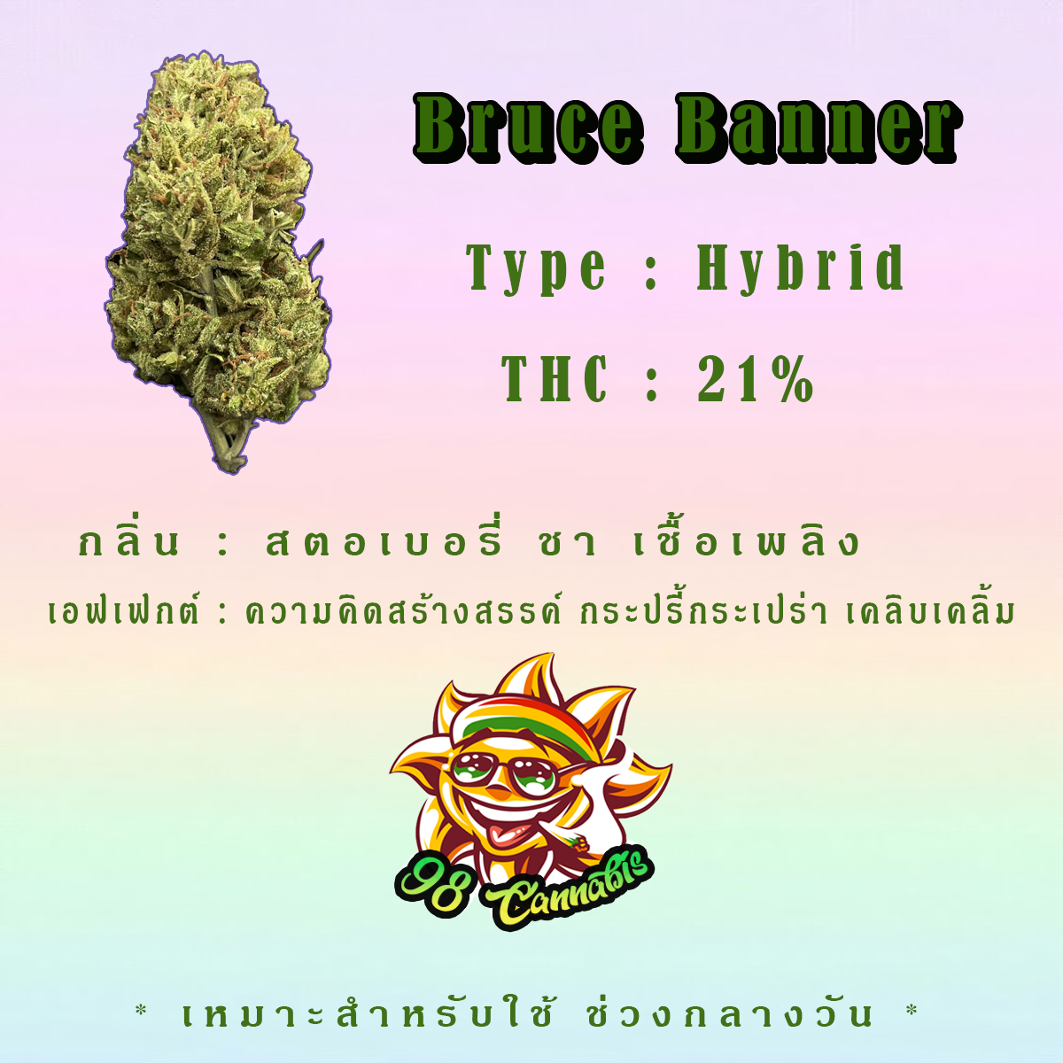 bruce-banner-thaimultiglass